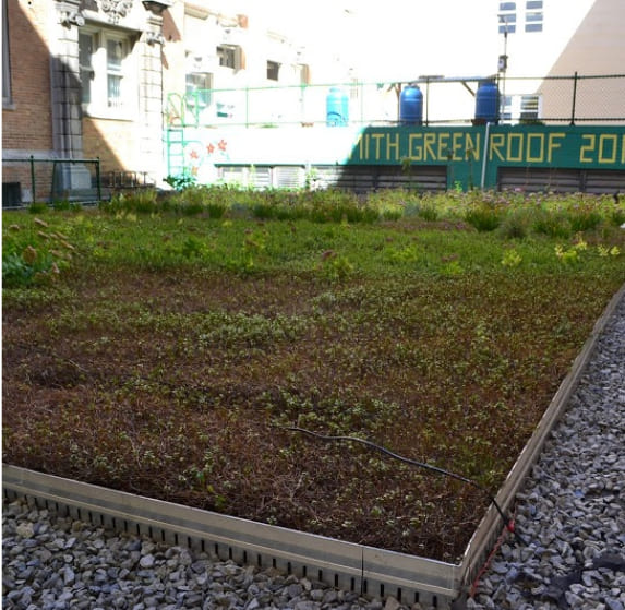 Students tending raised garden beds on school green roof