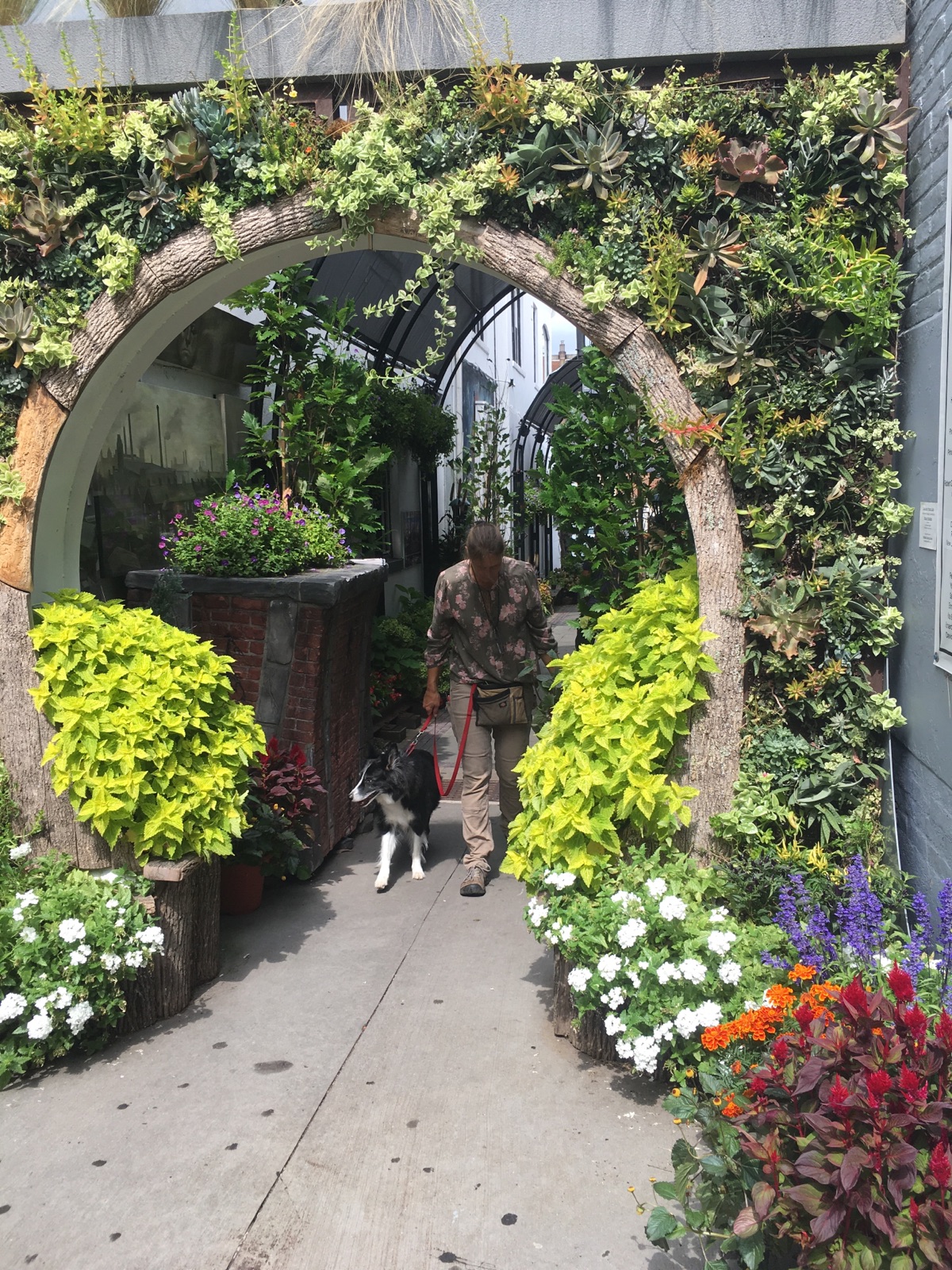 Dohm Alley civic project