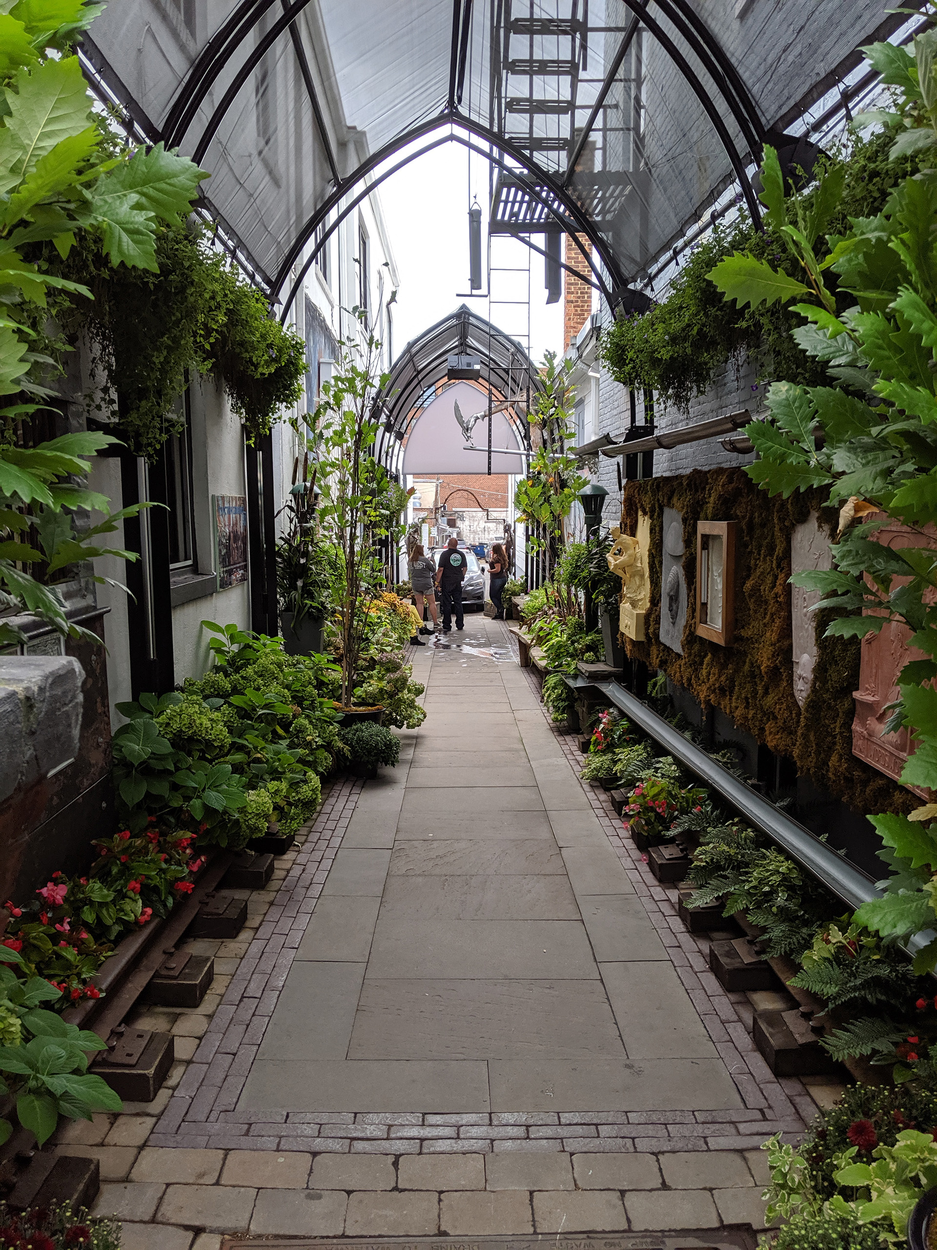 Plant and greenery covered walkway