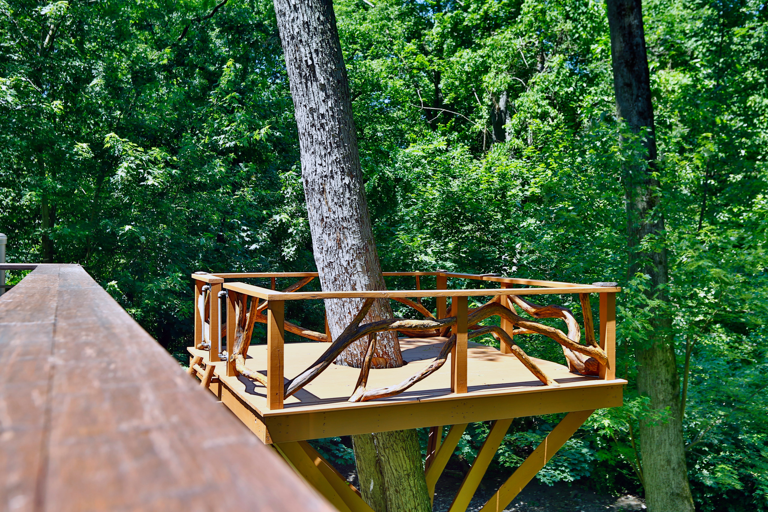 Wooden treehouse