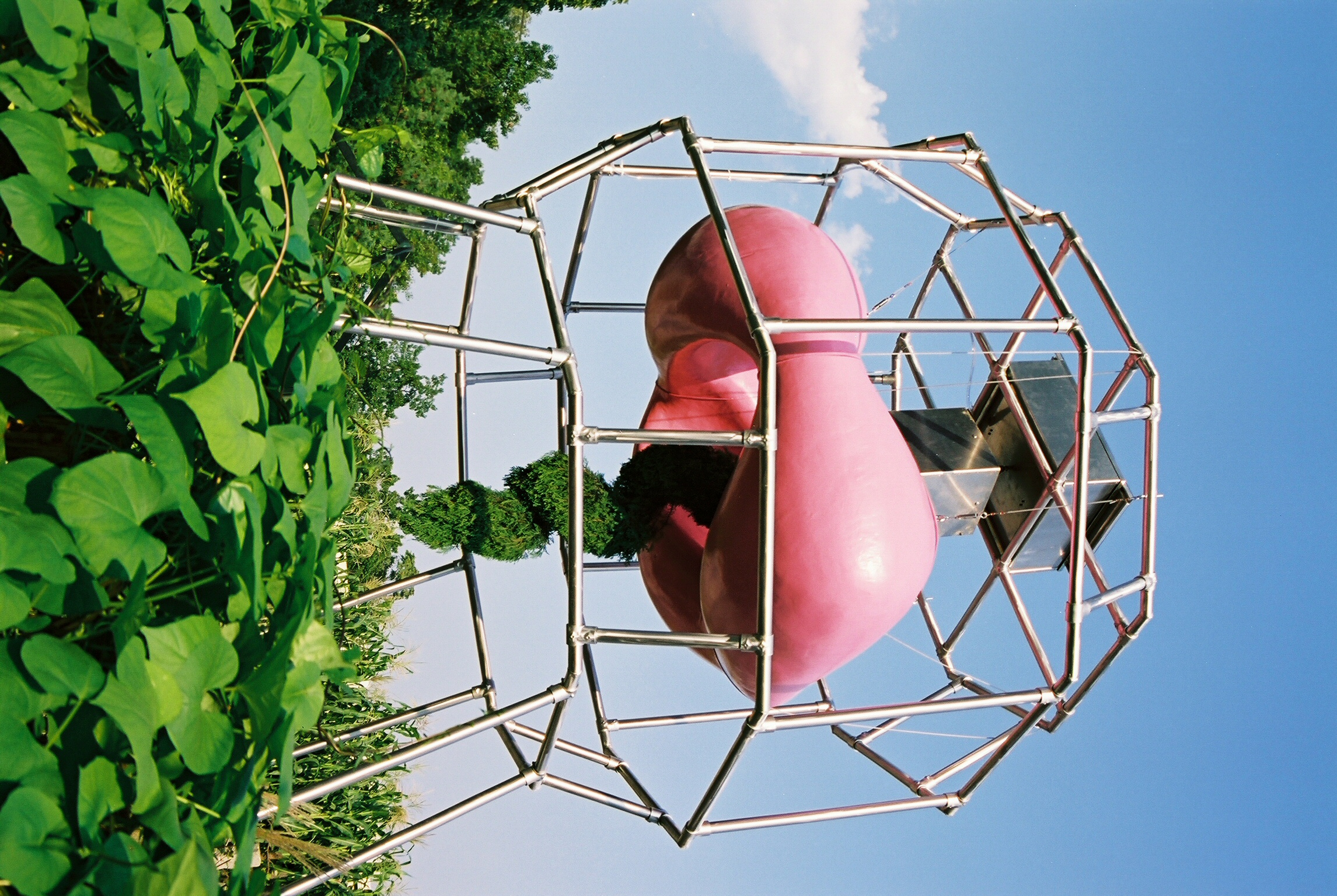 Pink bulbous sculpture inside a tubular metal cage.