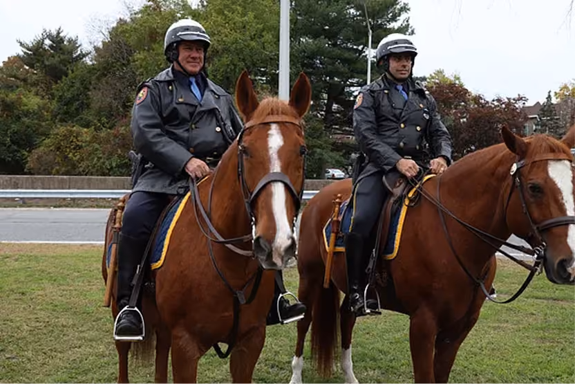 Two police officers in helmets riding brown horses on grass near a road and trees.