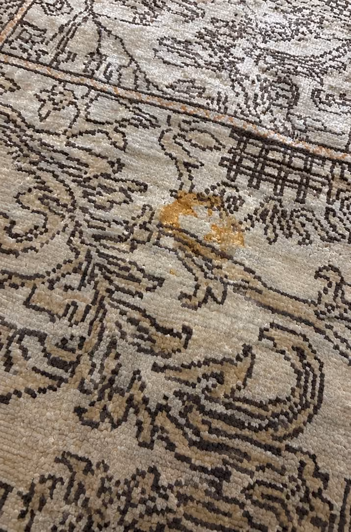 Stained patterned rug before professional stain treatment