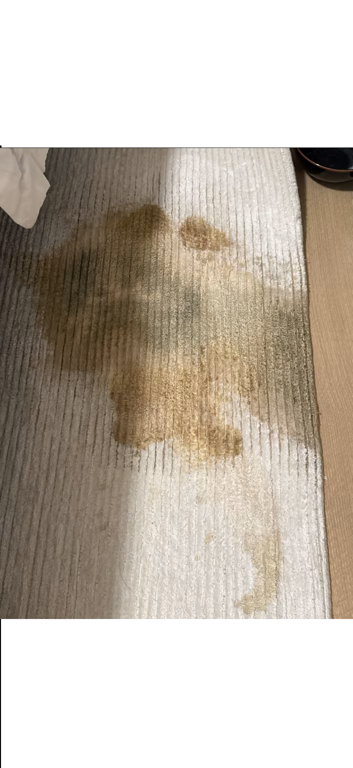 Dirty white area rug before professional cleaning in NYC