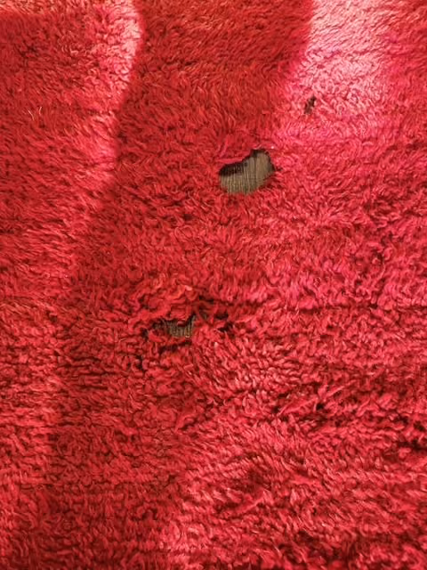 Damaged area rug before professional rug repair in NYC