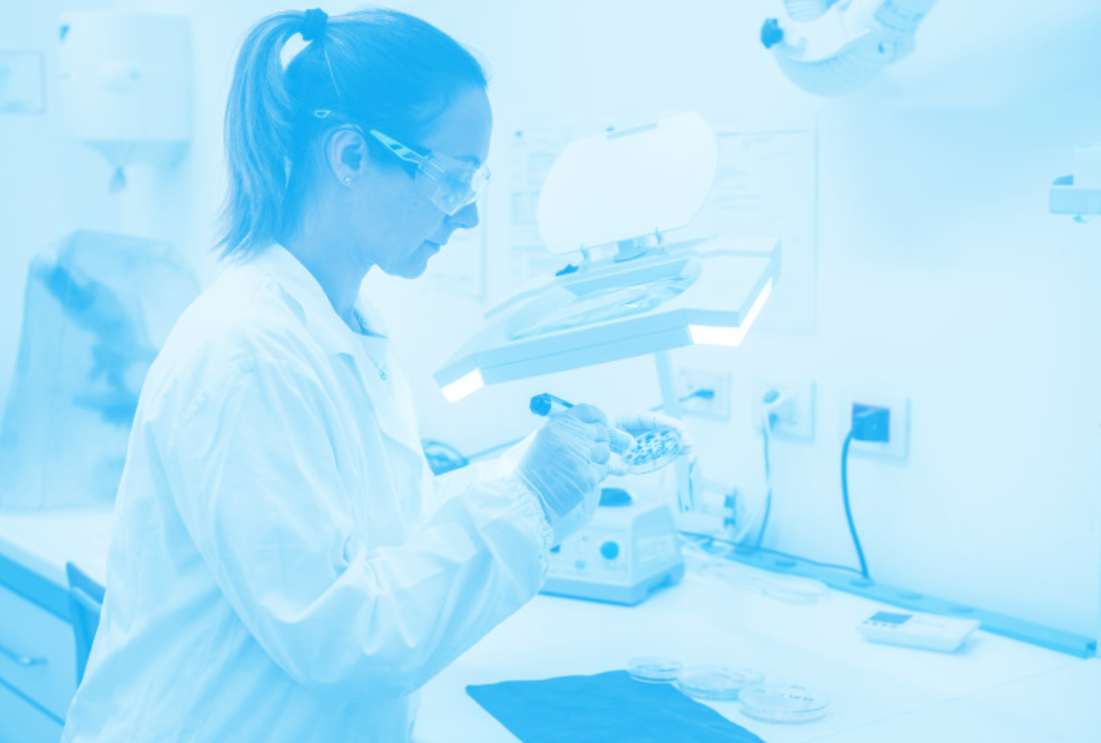 Laboratorio REI