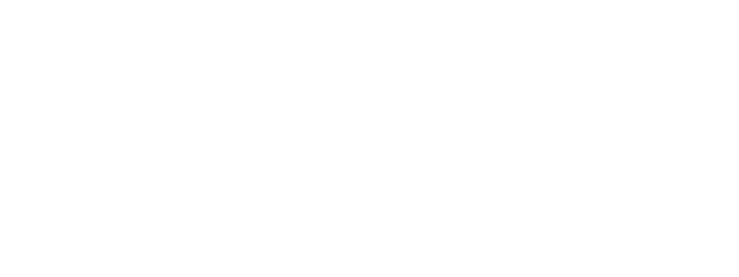 The Begin Hotels