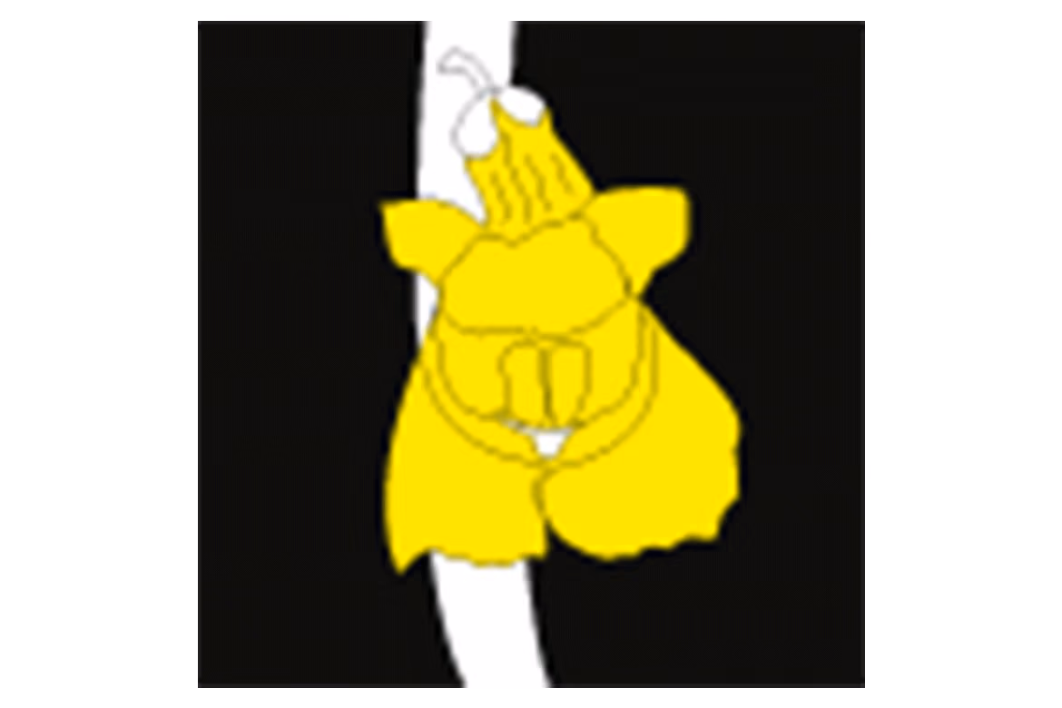Logo Schwäbischer Dialekt e.V.