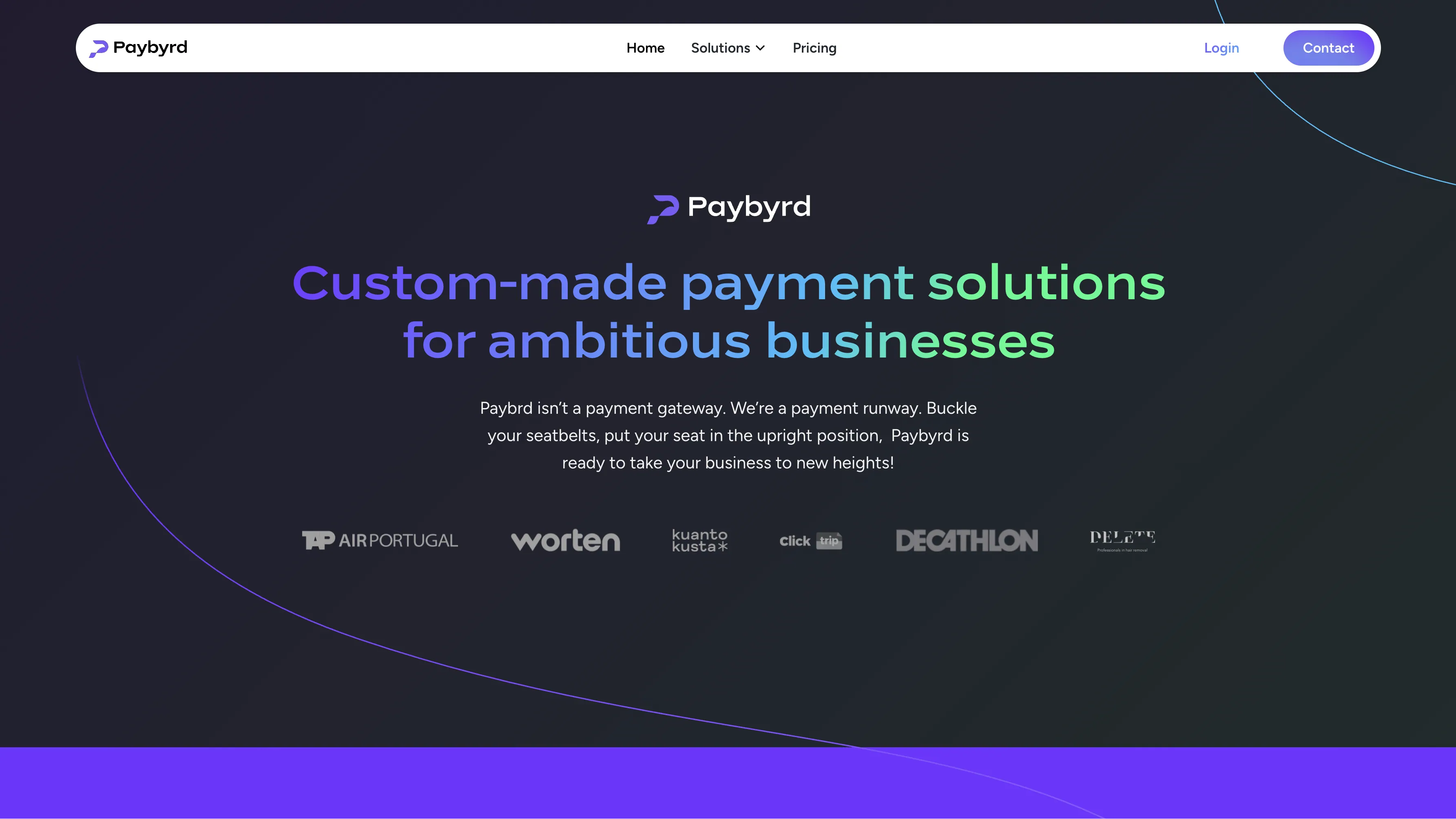 Paybyrd homepage before the redesign