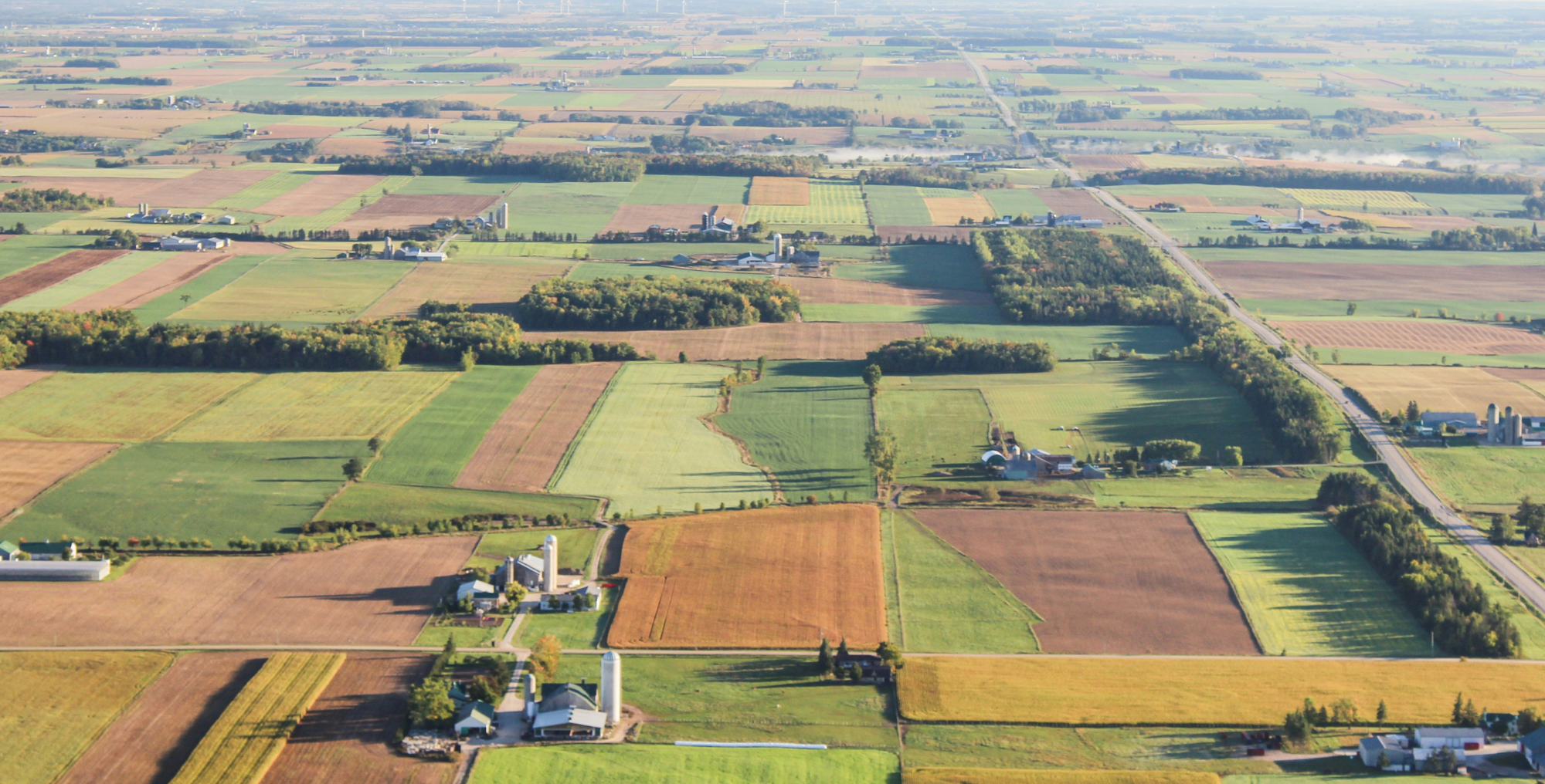 Ecopia's new agricultural land use layers can differentiate between developed open space, wild grass, pasture, and cultivated crops.