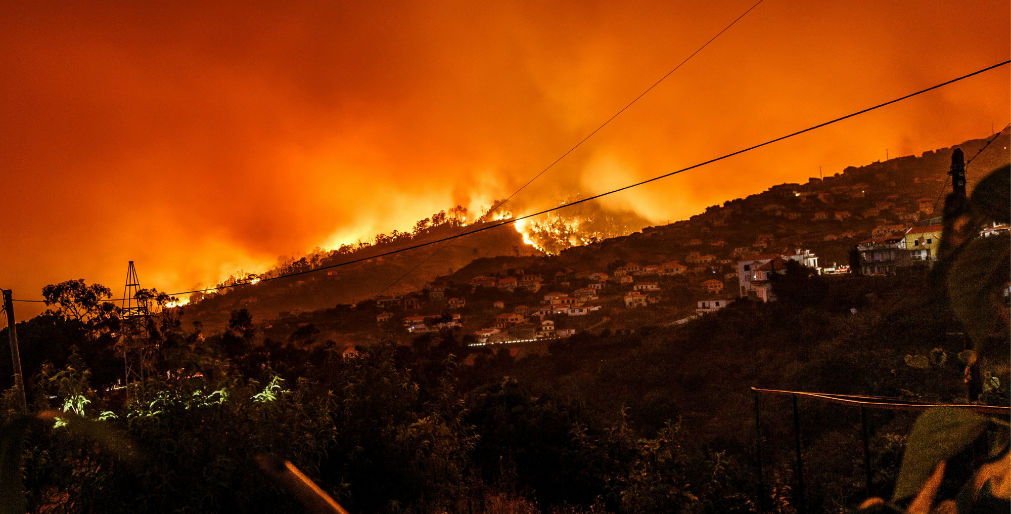 At Ecopia, we’ve seen a growing demand for our AI-powered land cover data to aid in wildfire mitigation and response efforts.