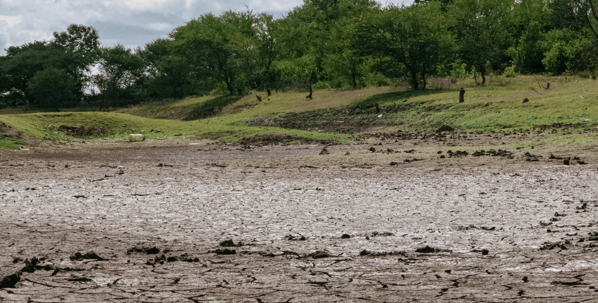 Soil erosion poses a significant threat to cropland, reducing soil fertility and diminishing agricultural productivity.