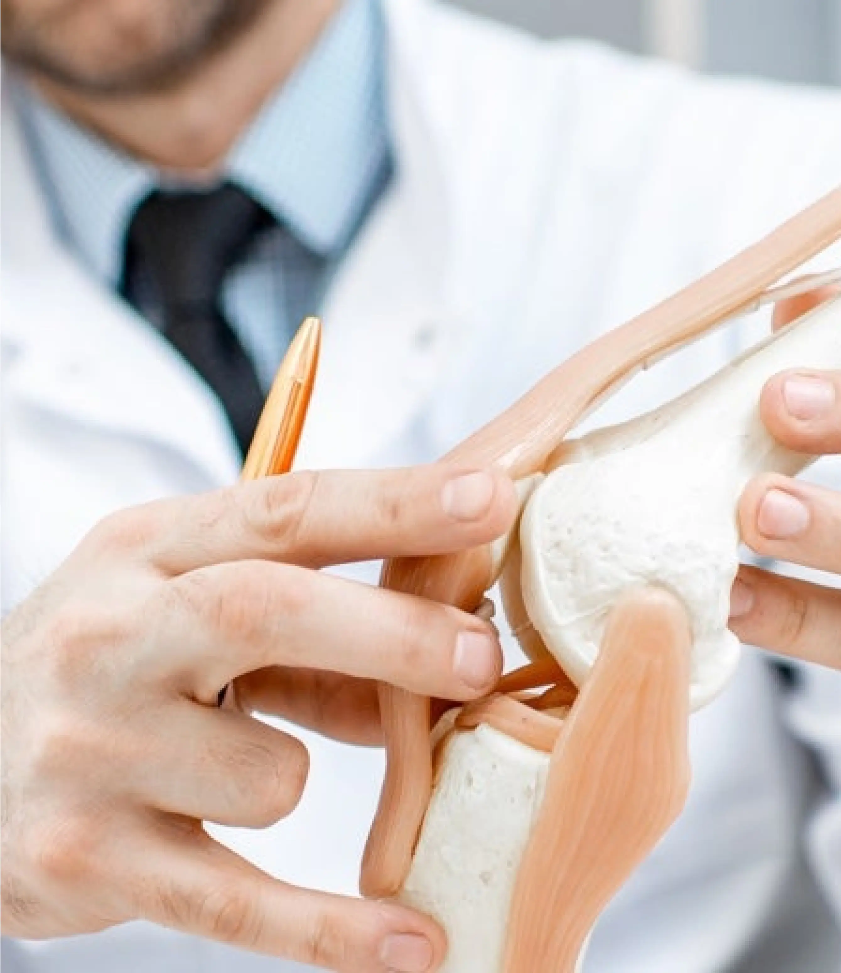 Arzt hält und zeigt ein anatomisches Modell eines menschlichen Kniegelenks.