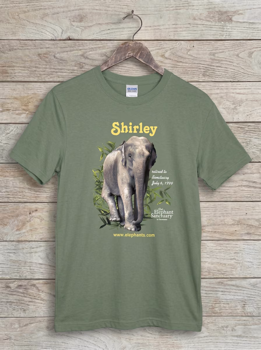 elephant-sanctuary