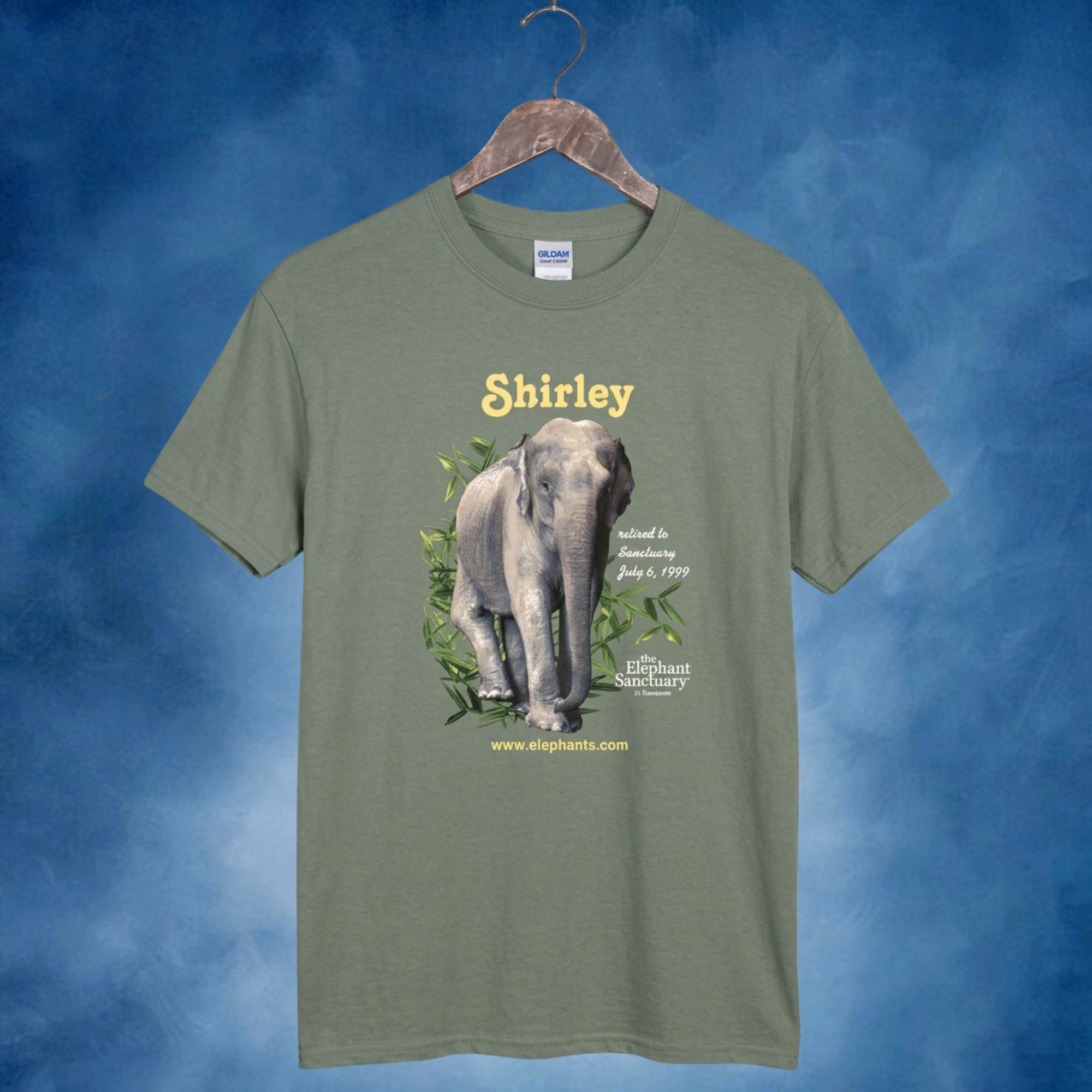 elephant sanctuary tee