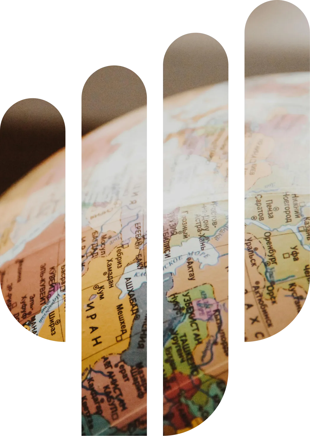 Cardon plus globe