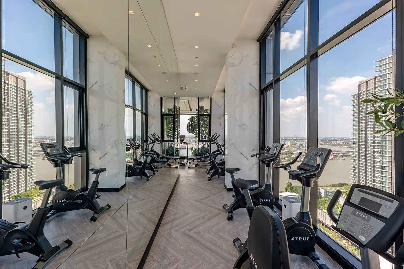 Modiz Collection BangPho Gym 2