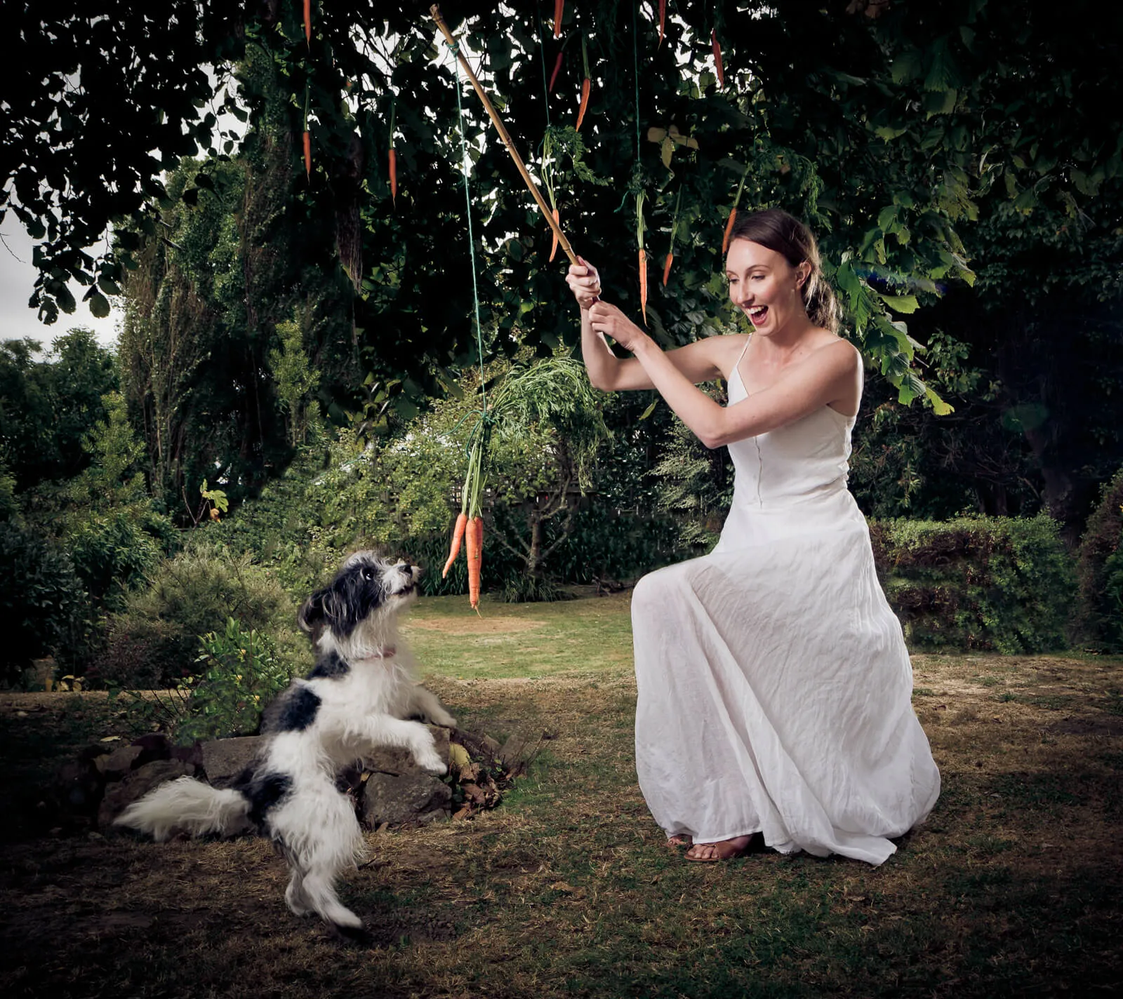 Bride laughing as a small dog jumps toward a carrot dangling from a stick in a garden.
