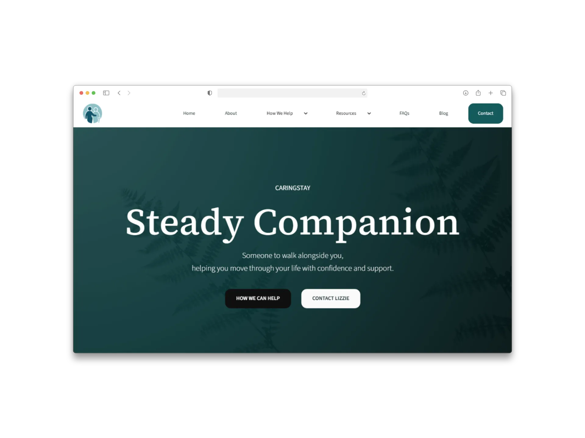 Steady Companion website homepage shown in a browser frame.