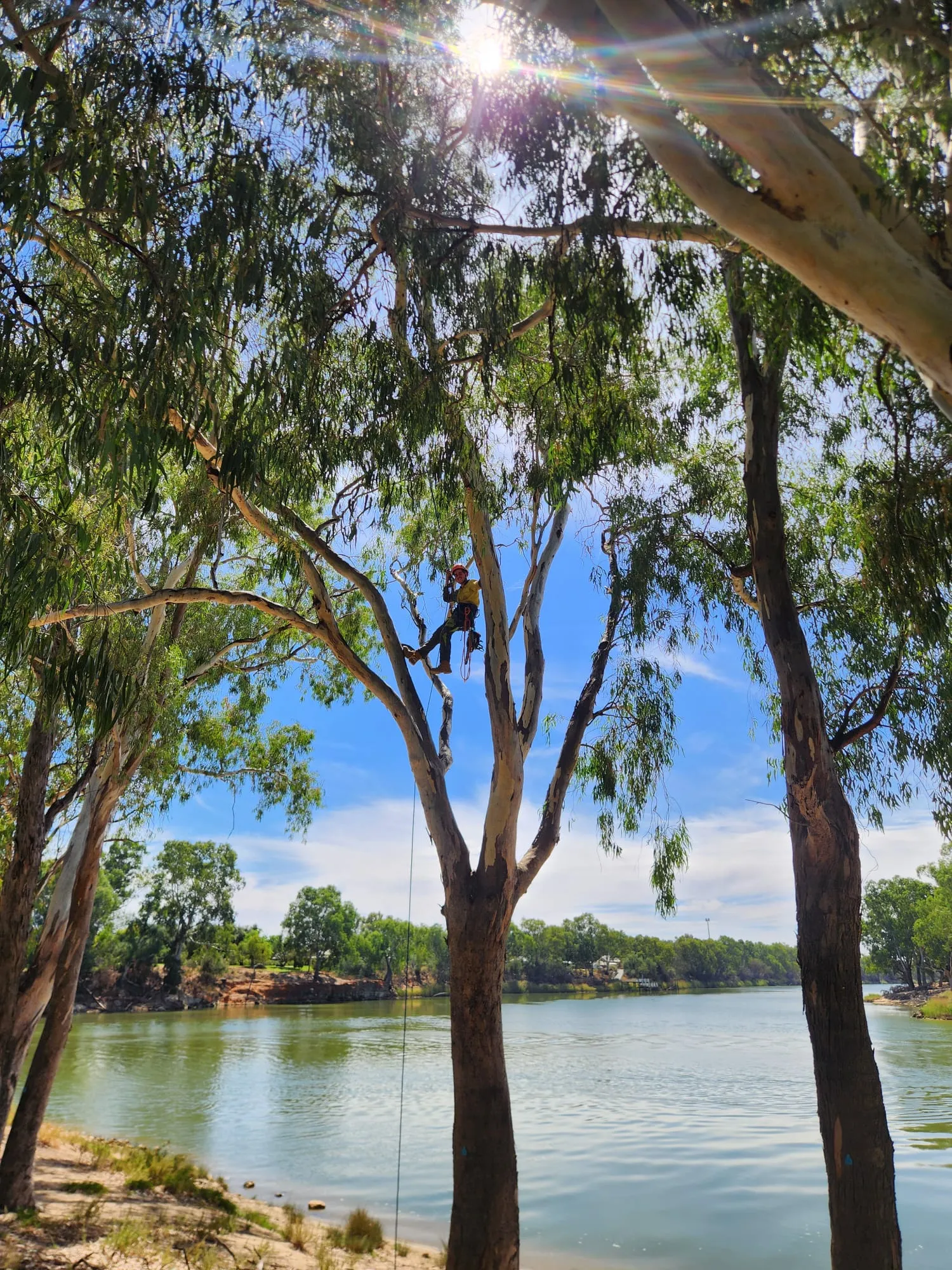 Natural Image