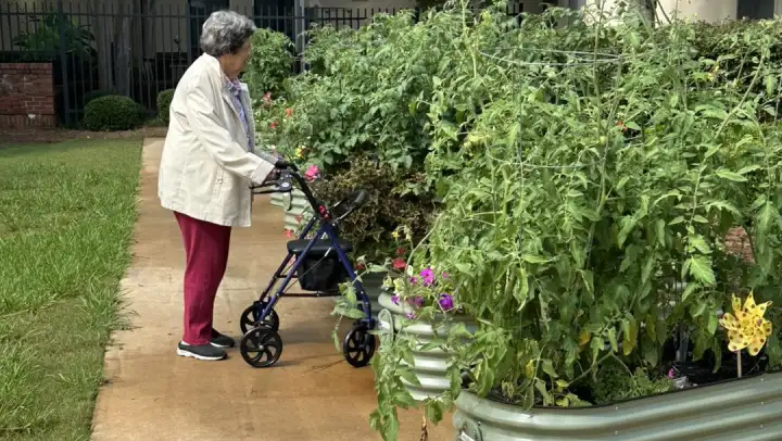 Raised Garden Beds Make Gardening More Safe, Accessible, and Fun!