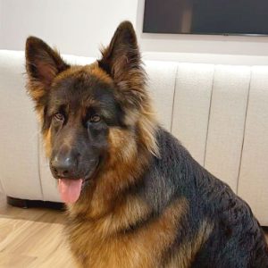 Reggie, a Leading Raw customer