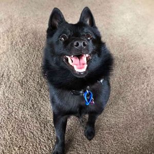 Arlo, a Leading Raw customer