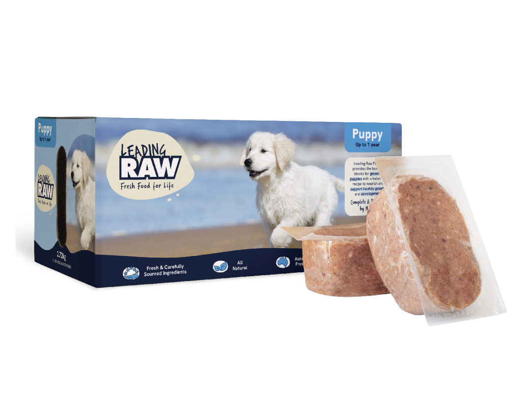 Leading Raw Puppy frozen dog food 2.72kg box with a cream retriever puppy on the pack, shown with two sealed raw patties.