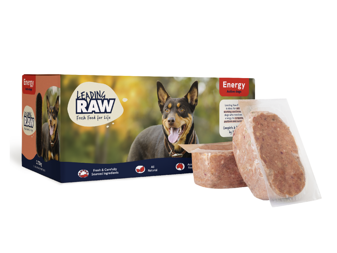 Leading Raw Energy frozen dog food 2.72kg box with a Kelpie on the pack, shown with two sealed raw patties