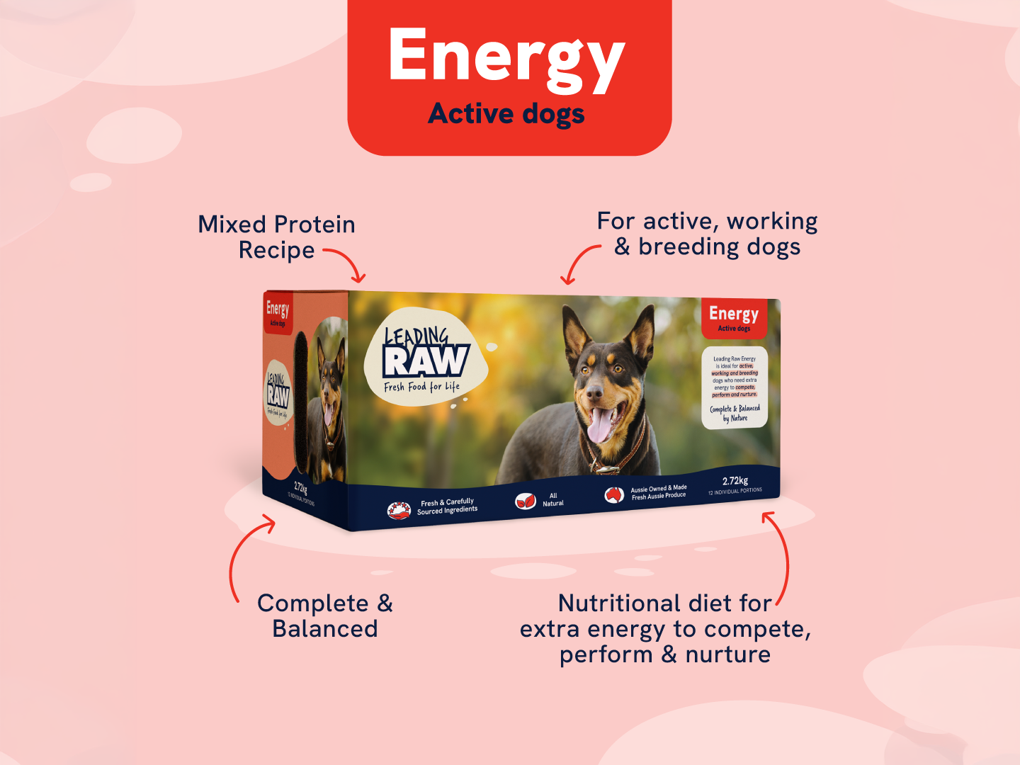 Leading Raw Energy pack for active, working and breeding dogs — mixed protein recipe, complete and balanced, for extra energy