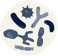 Illustration about bacterial contamination in raw dog food