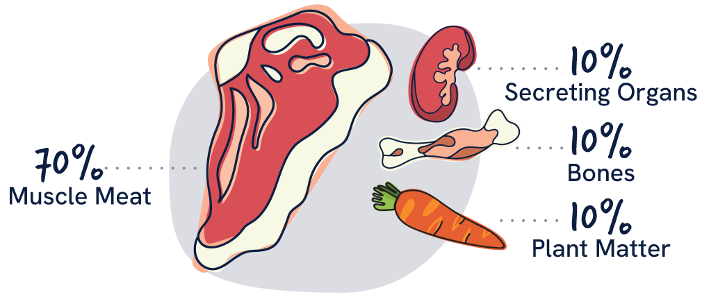 BARF dog food recipe breakdown showing 70% meat, 10% organs, 10% raw bone and 10% fruit and vegetables