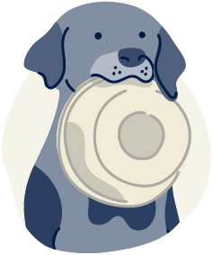 Illustration about introducing a dog to a raw diet