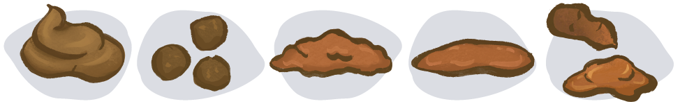 Chart showing dog poo shapes and consistency and what they can mean
