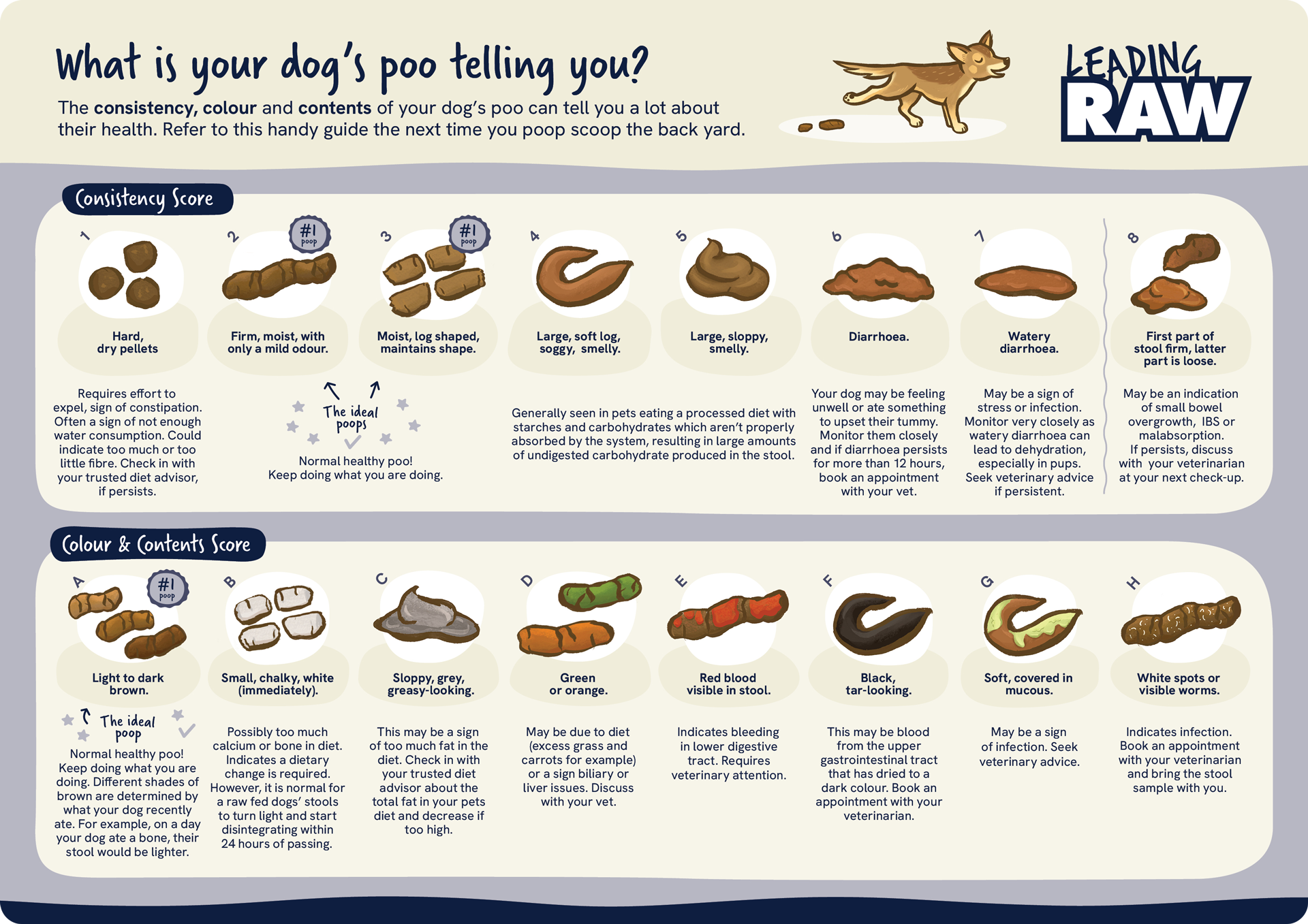 Leading Raw poo chart for dogs showing colour, shape and contents together.