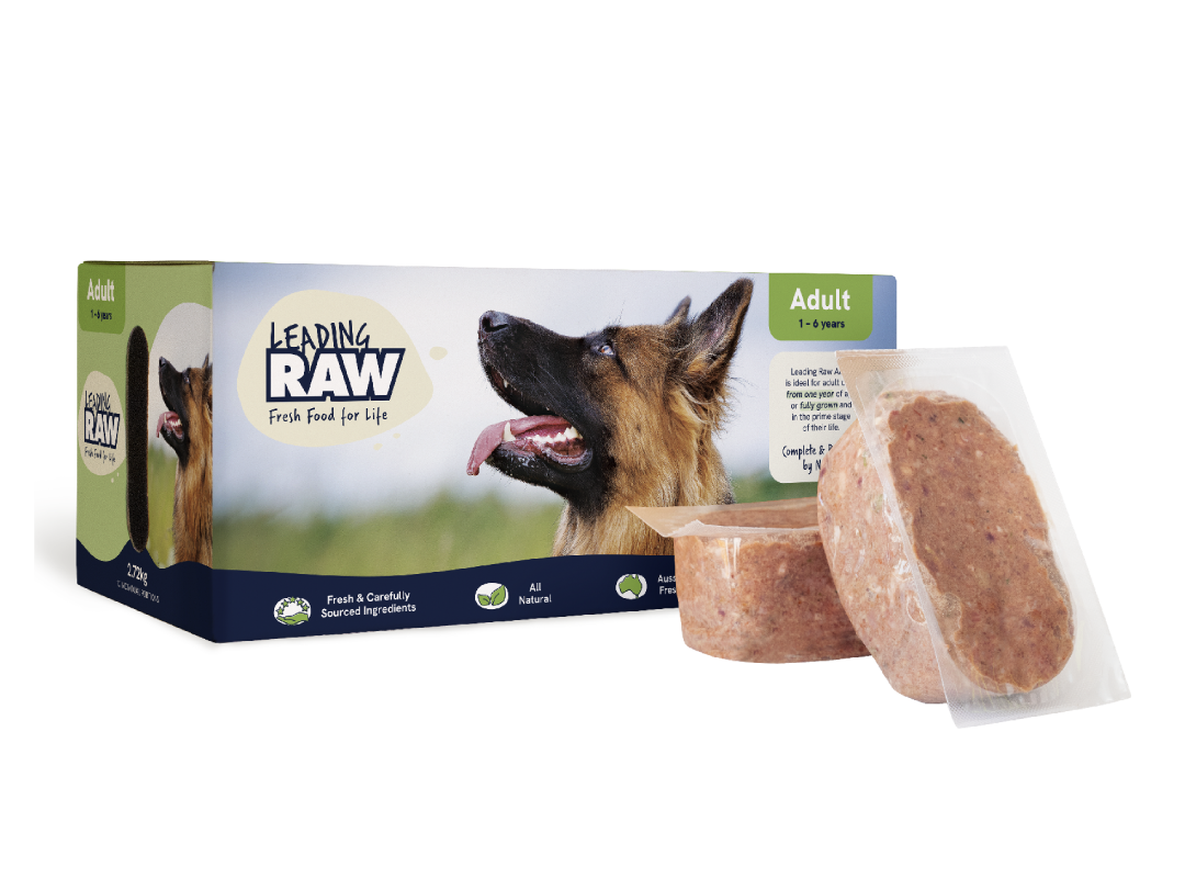 Leading Raw Adult frozen dog food 2.72kg box with a German Shepherd on the pack, shown with two sealed raw patties.
