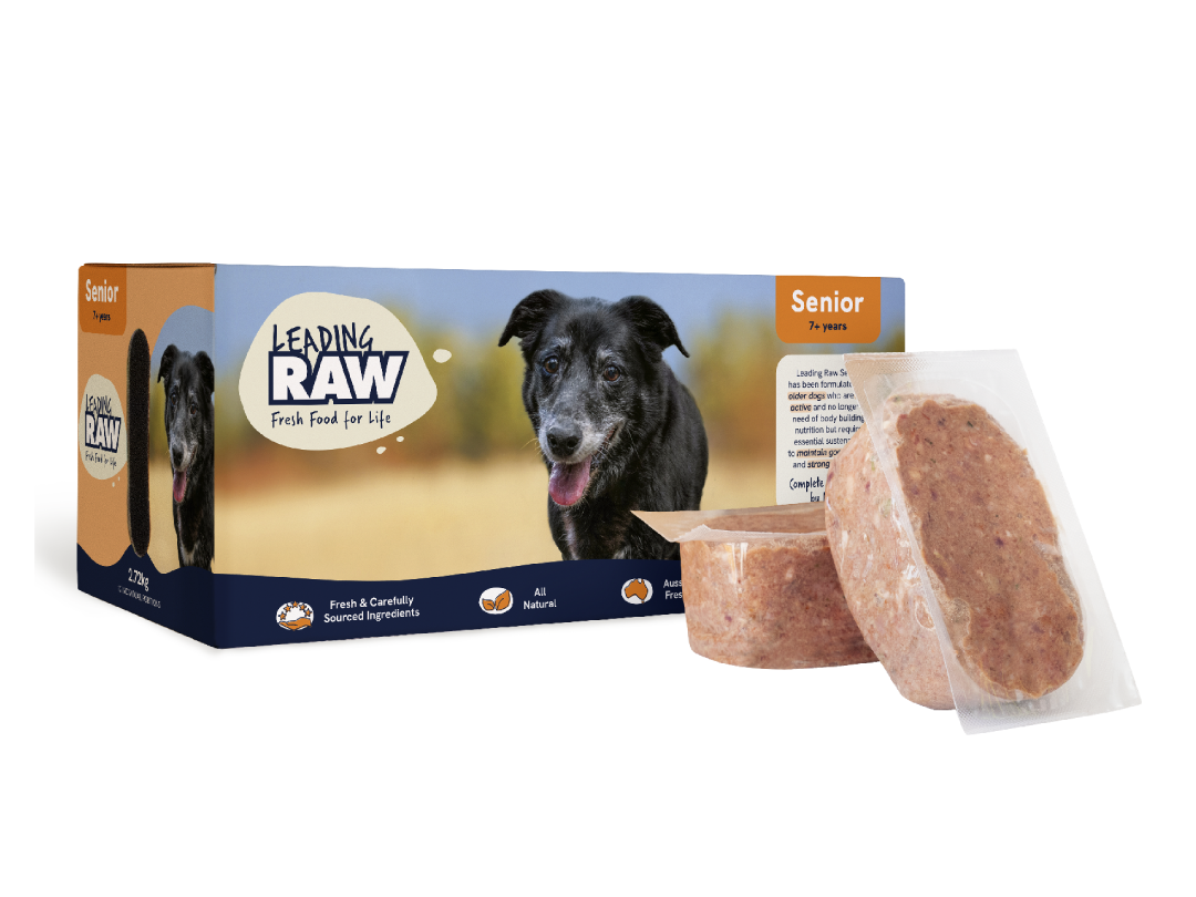 Leading Raw Senior frozen dog food 2.72kg box with an older black dog on the pack, shown with two sealed raw patties.