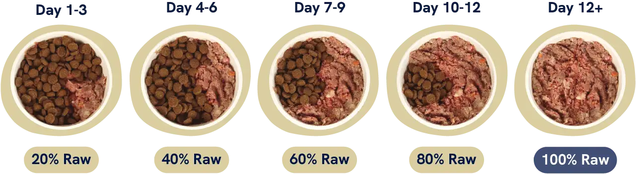 An illustration showing the ratio of raw to old diet over 12 days.