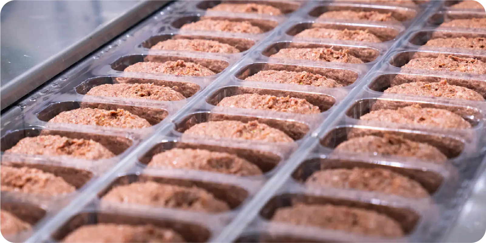 Leading Raw patties in production facility