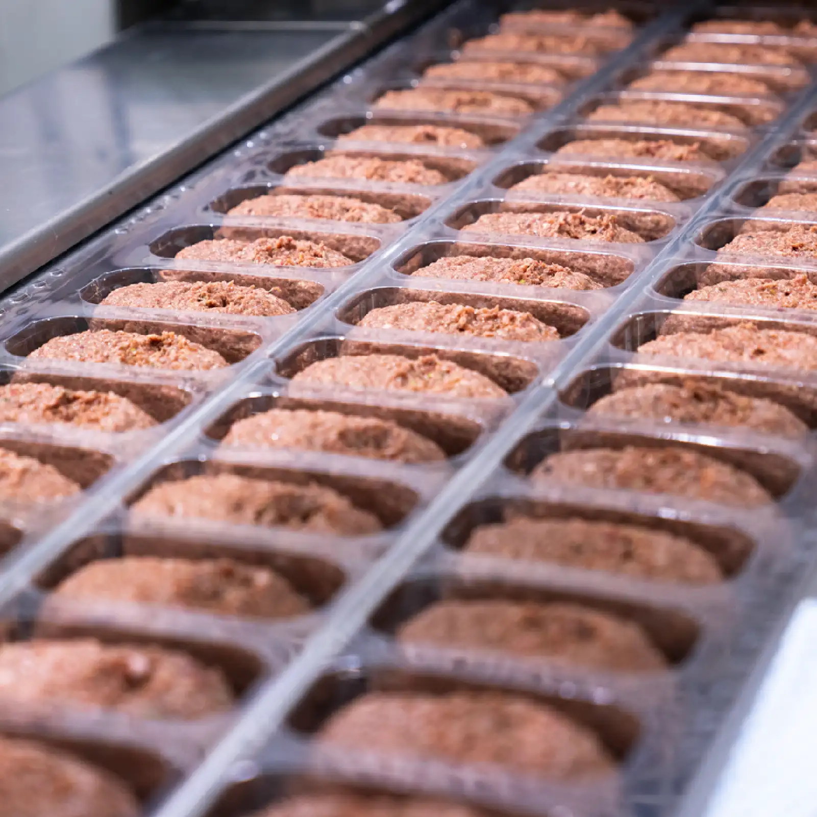 Leading Raw patties in production facility