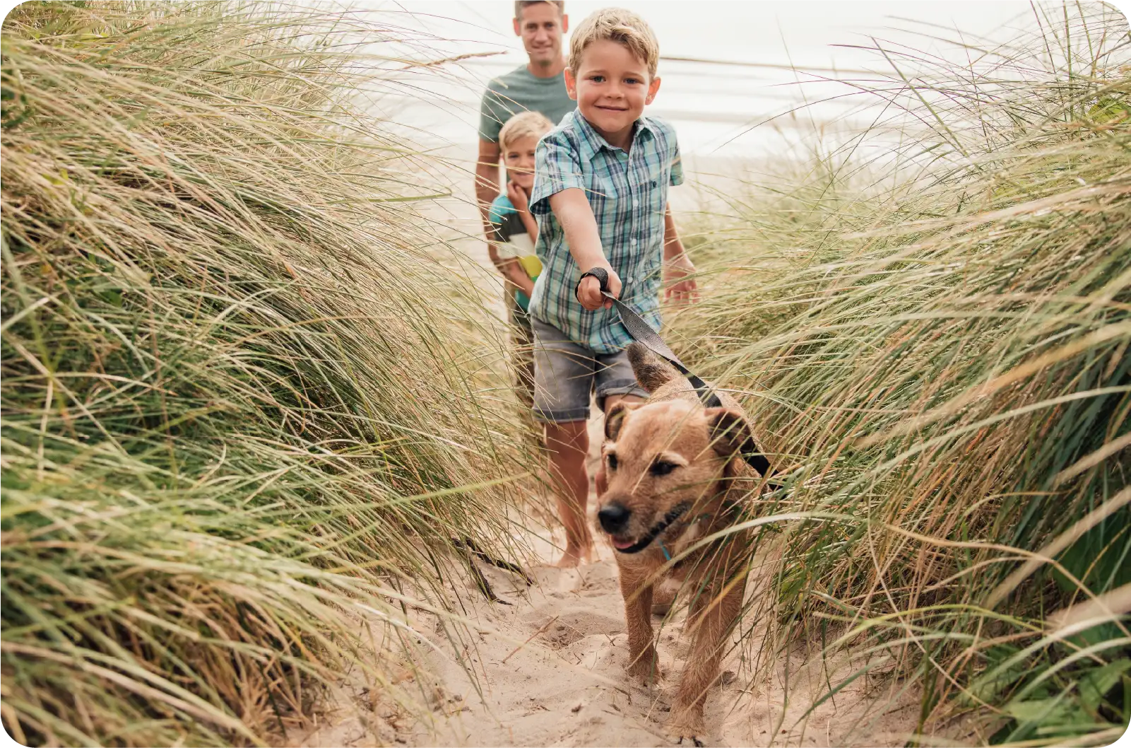 young family walking mix breed brown dog on beach sand