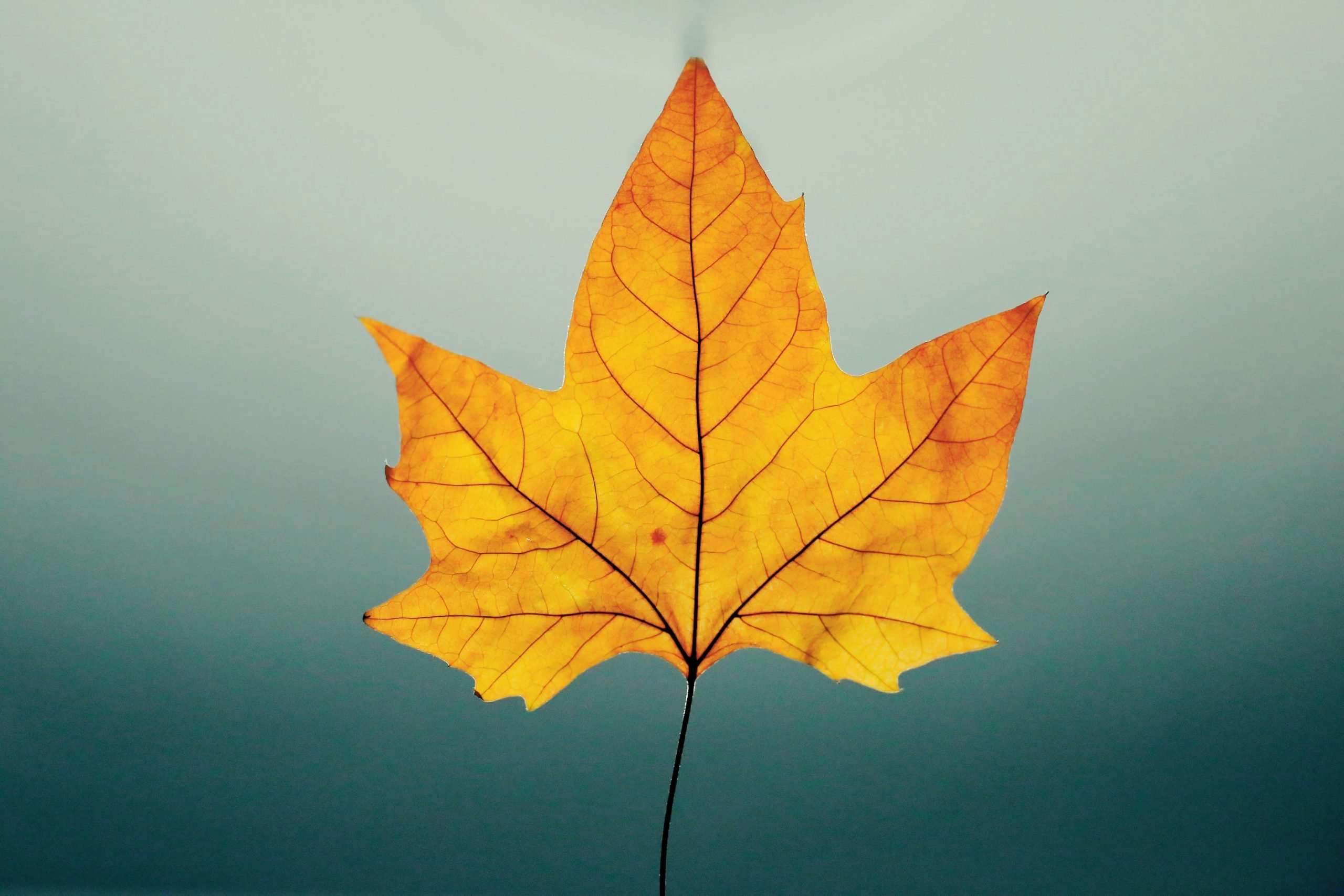 Autumn Adventures: Outdoor Activities to Enjoy in Malta this Fall
