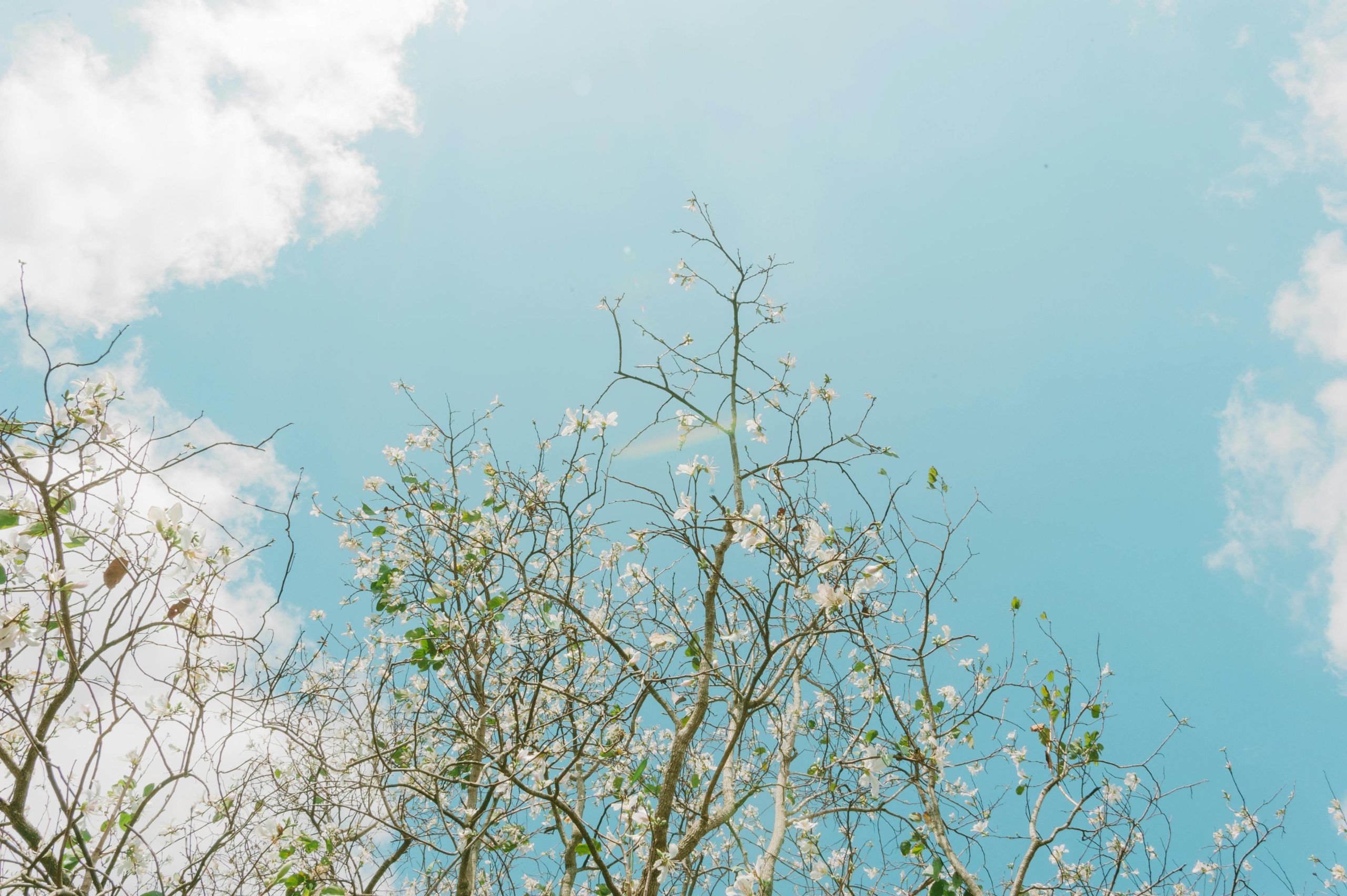 Spring Mode On: Making the Most of Student Life in Malta