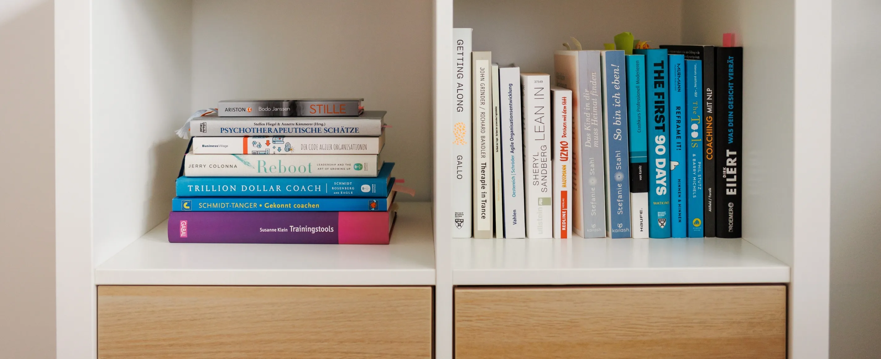 Bücherregal mit Fachbüchern zu Coaching und Organisationsentwicklung in einem hellen Raum