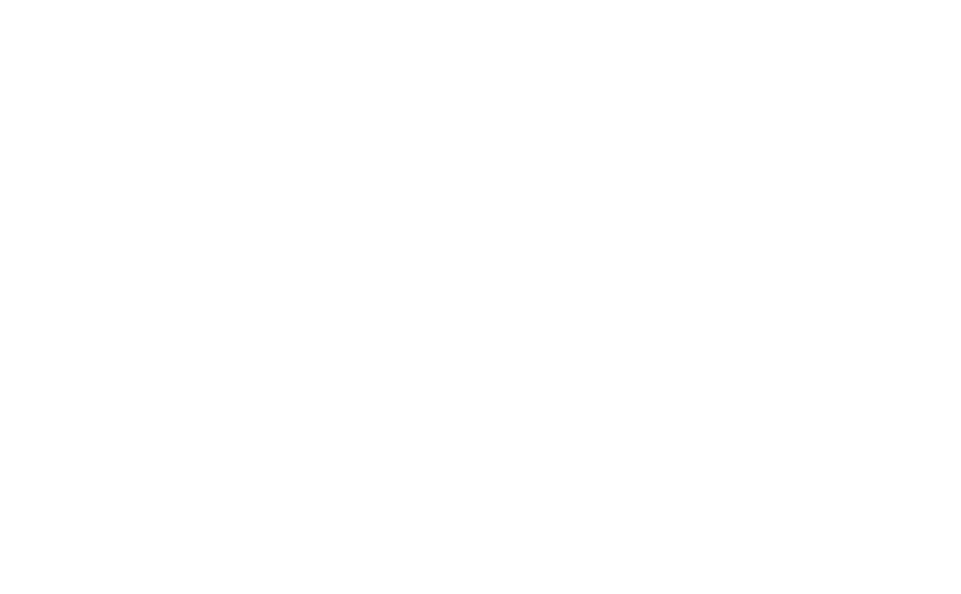 Politiet