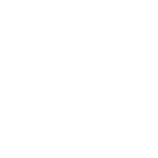 Digdir