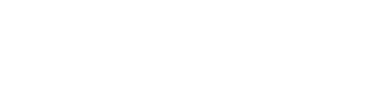 Politiet