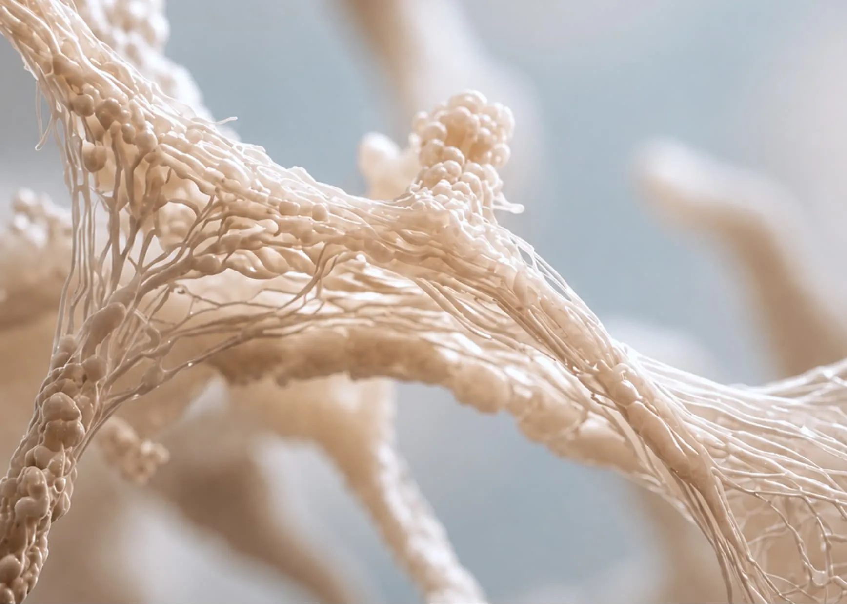 Immune cell network illustrating immune system function, resilience and inflammatory response.