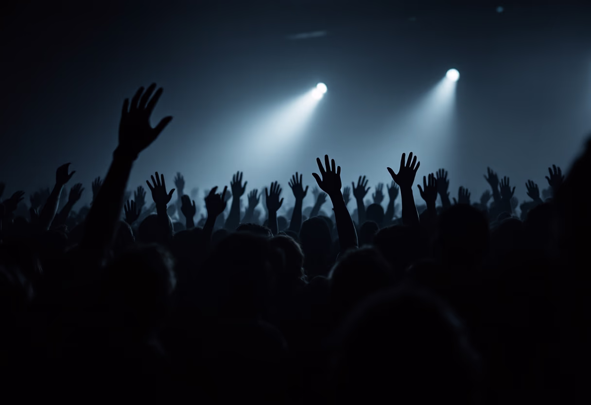 image of a concert crowd