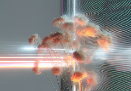 Soft pink flowers with glowing light streaks and digital glitch effects on a muted background.